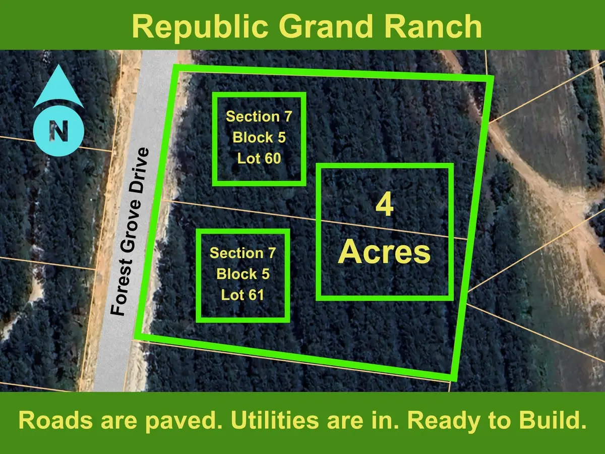 15364 Forest Grove Drive, Willis, TX 77378 - #1