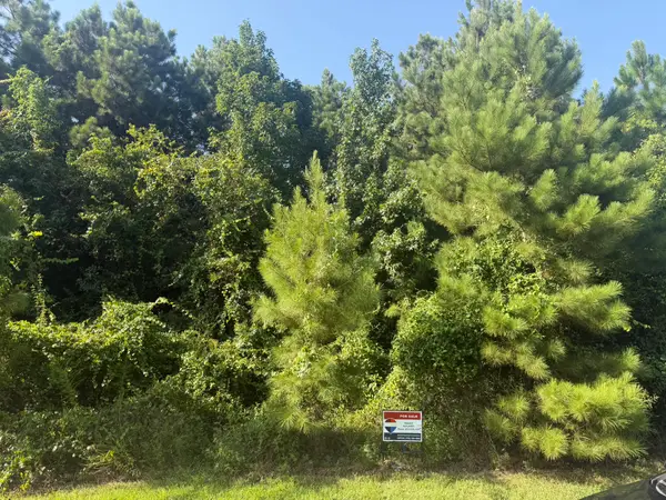 2303 County Road 3405, Cleveland, TX 77327