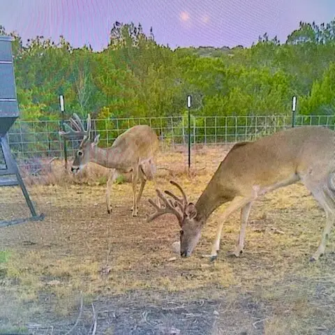 TBD High Lonesome Road, Comstock, TX 78837 - #2