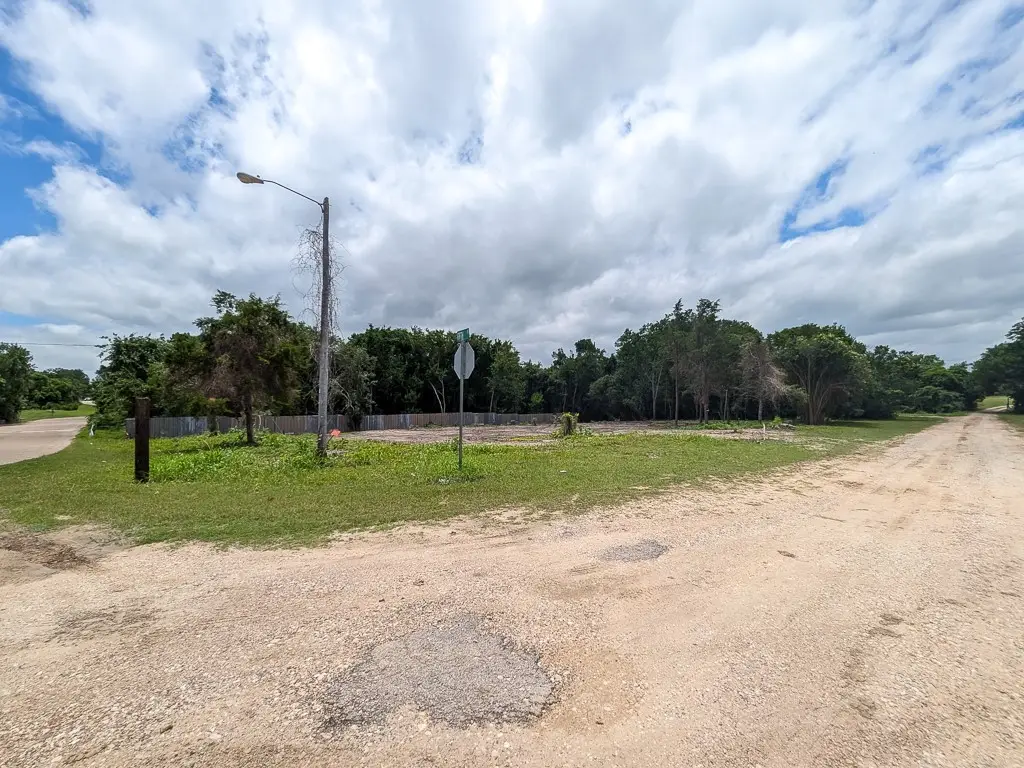 701 E Blackshear Street, Navasota, TX 77868 - #1