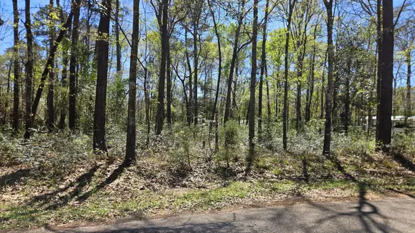 15566 Firewood Dr, Conroe, TX 77303
