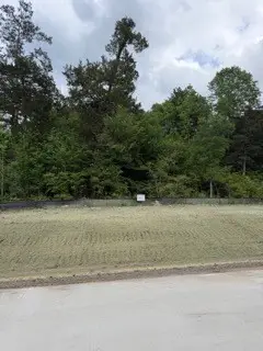 139785 Winters Vista Drive, Willis, TX 77378