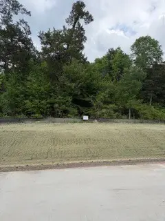 139785 Winters Vista Drive, Willis, TX 77378 - #3