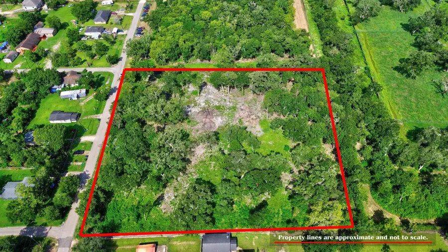 708 W Smith Street, Brazoria, TX 77422 - #2