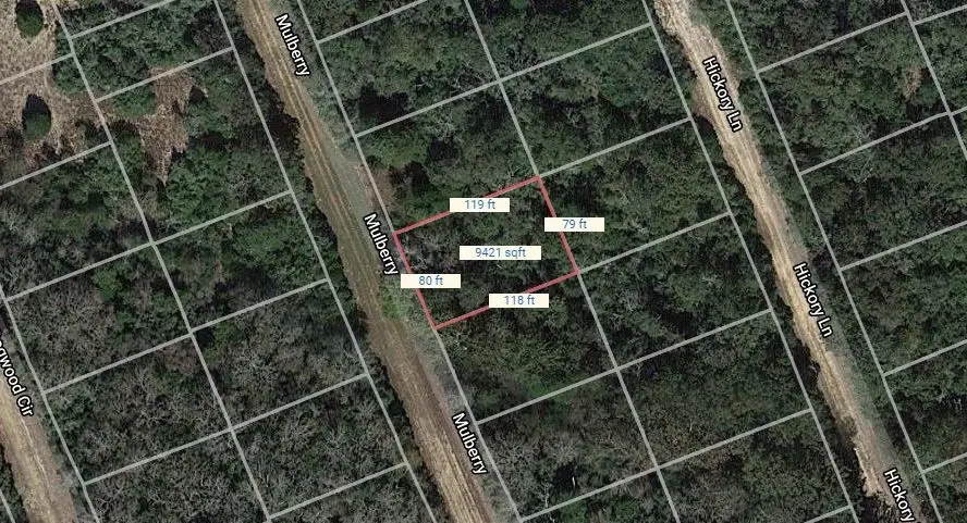 Lot 21 Mulberry Lane, Normangee, TX 77871 - Image #2