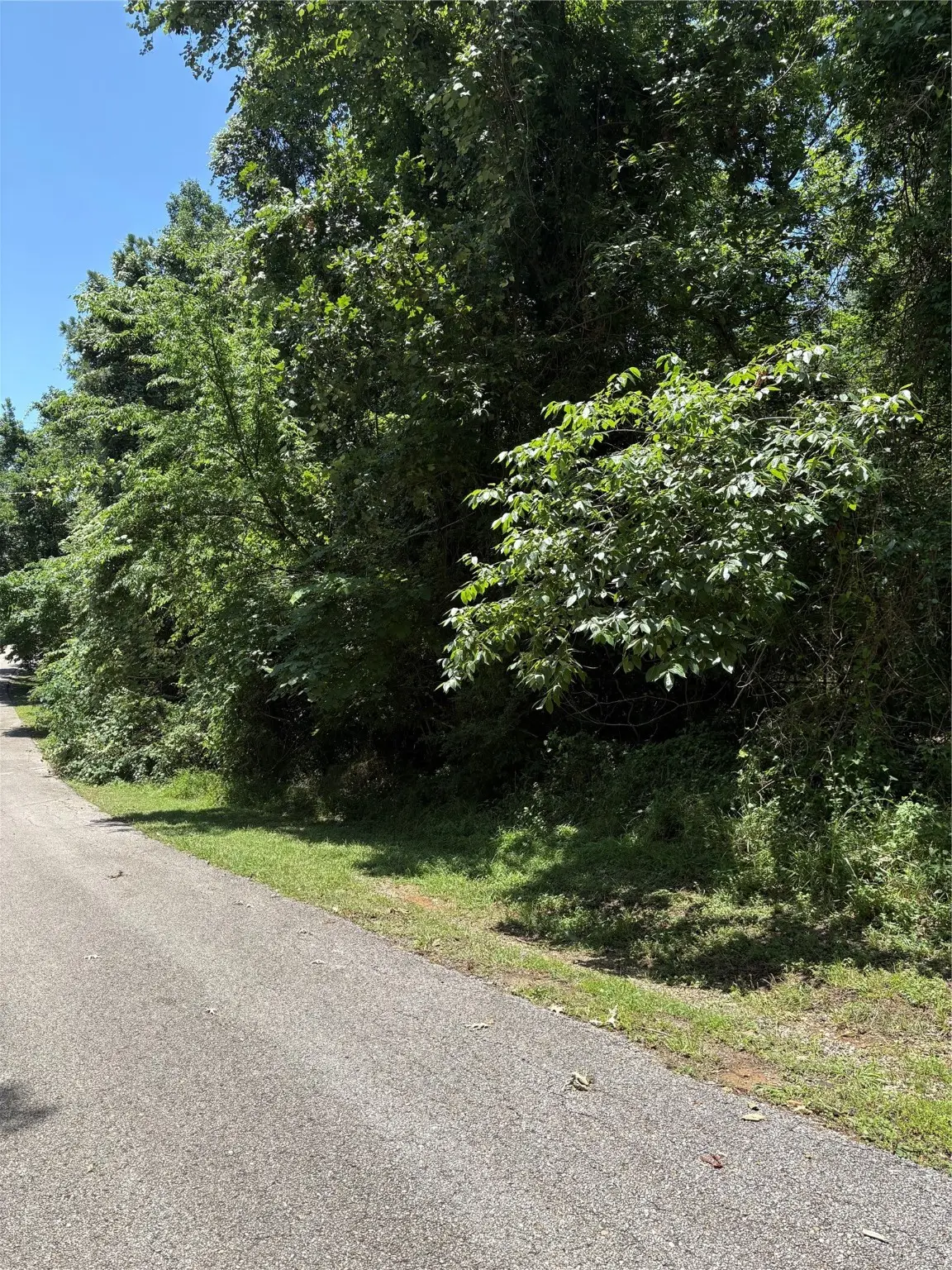 TBD Lake Drive, Onalaska, TX 77360 - Image #1