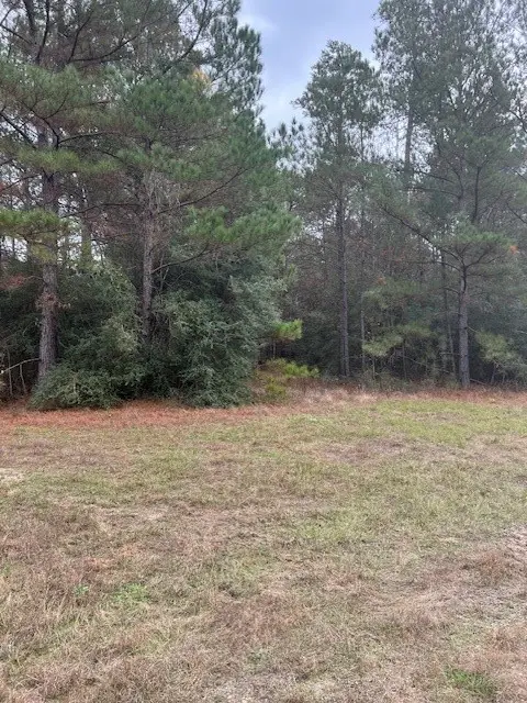 1-6-40 Sundog, Huntsville, TX 77340 - #2