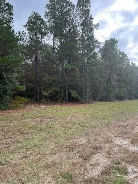 1-6-40 Sundog, Huntsville, TX 77340 - #3