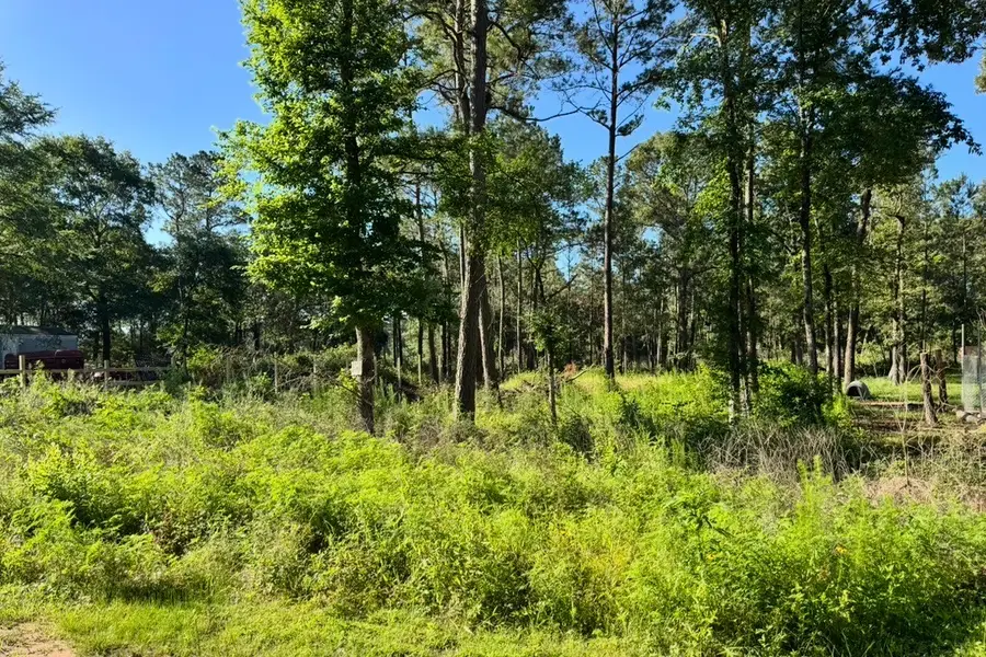 8020 Tawnyberry Lane, Plantersville, TX 77363 - #3