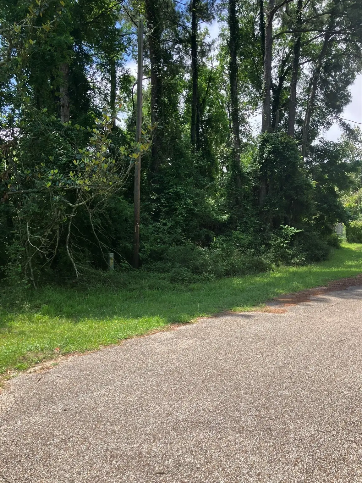 TBD Holly Drive, Onalaska, TX 77360 - Image #1