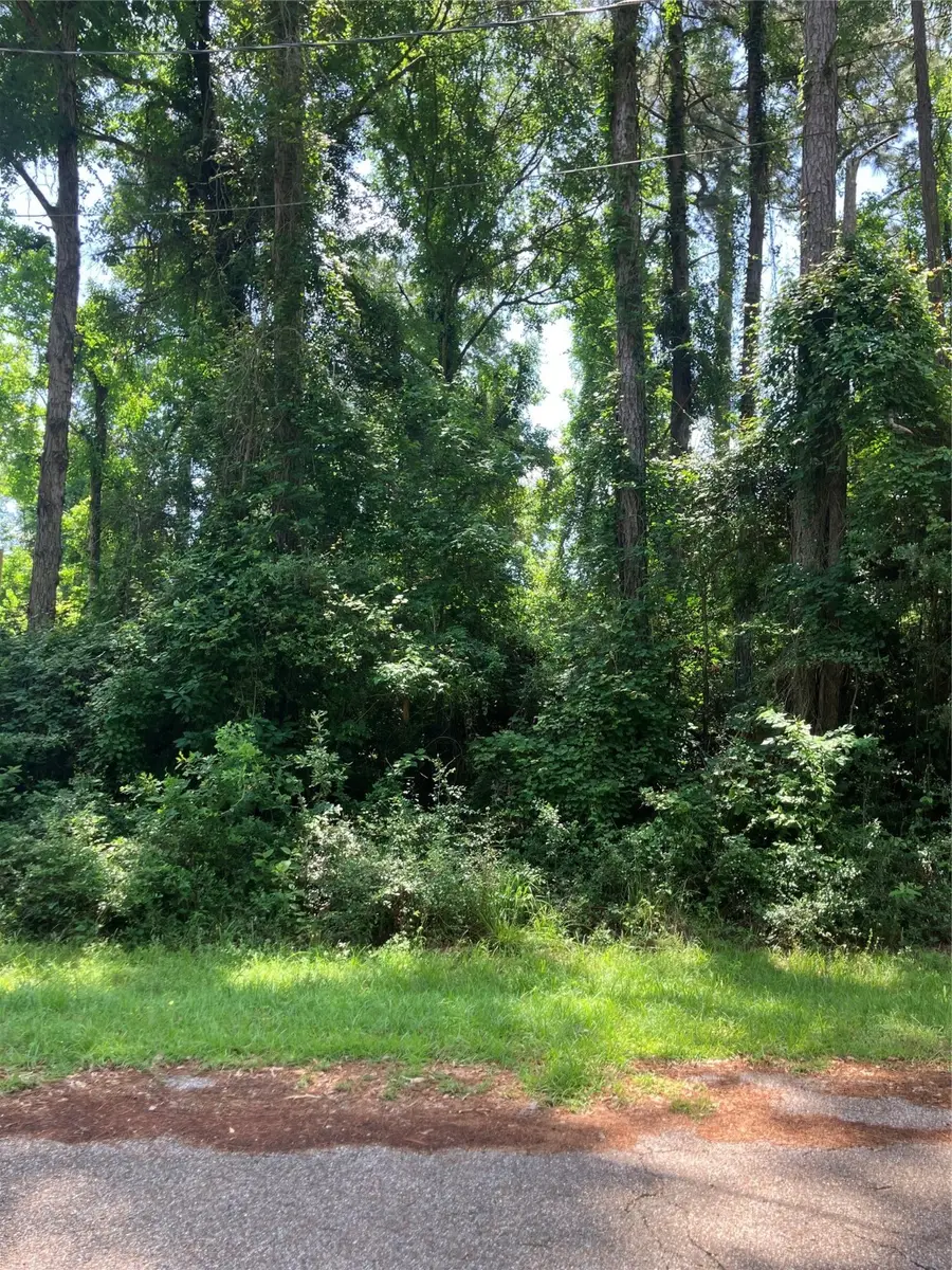 TBD Holly Drive, Onalaska, TX 77360 - Image #3