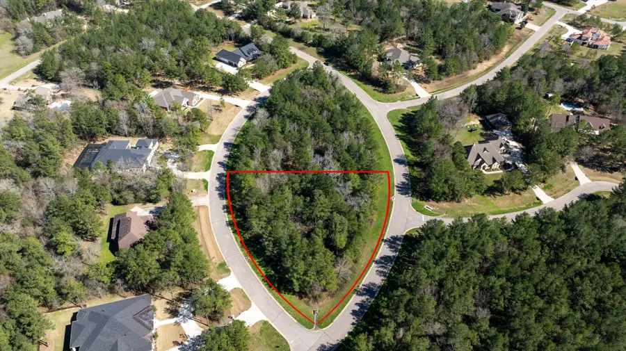 26207 Huntsworth Lane, Montgomery, TX 77316 - #2