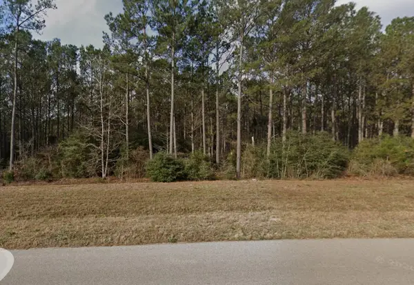 10914 Ruger Road, Willis, TX 77378