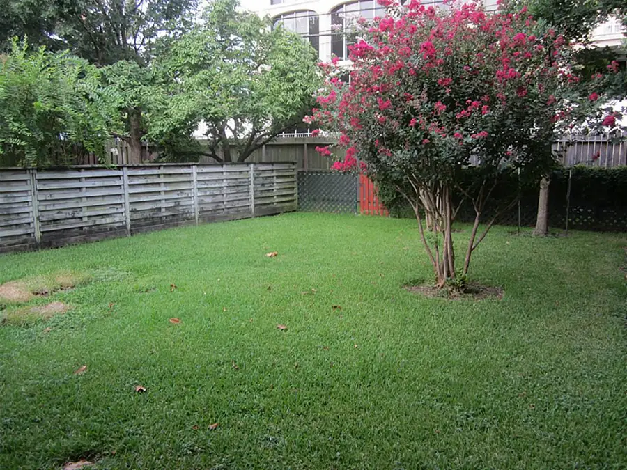 2014 Timber Lane, Houston, TX 77027 - Image #3