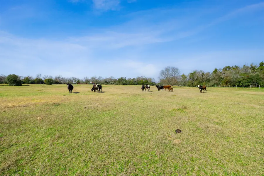 6804 County Road 126, Caldwell, TX 77836 - Image #3