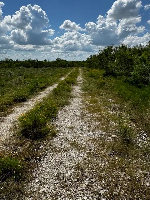 TR 11 Private Road, Waelder, TX 78959 - #1