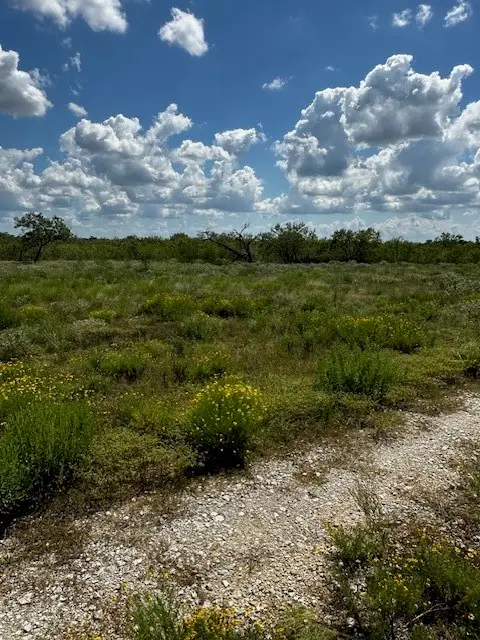 TR 11 Private Road, Waelder, TX 78959 - #2