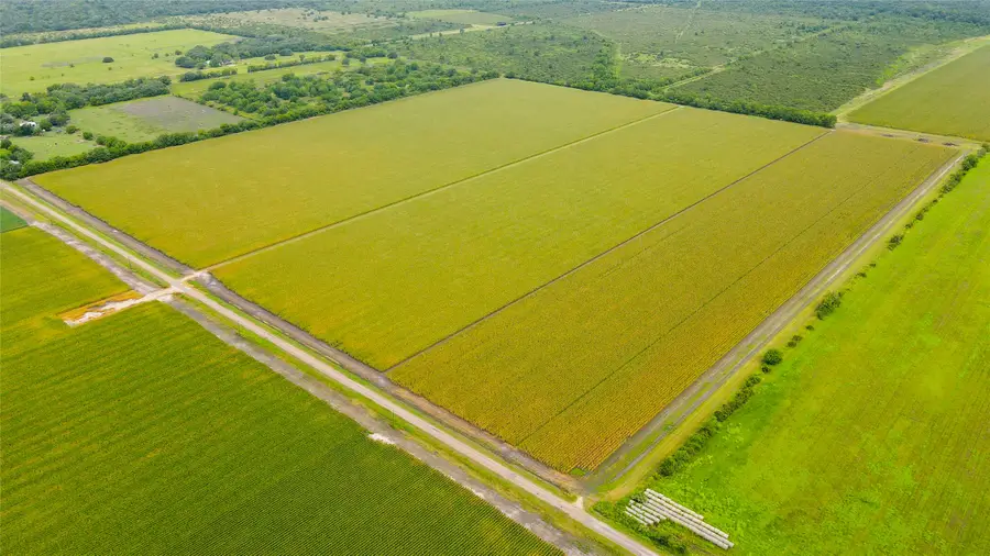 000 County Road 384, Louise, TX 77455 - Image #2