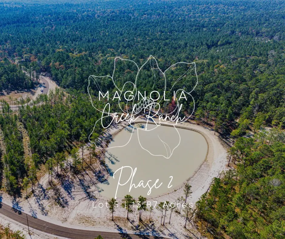 025 Magnolia Ranch Rd Road, Onalaska, TX 77360 - Image #1