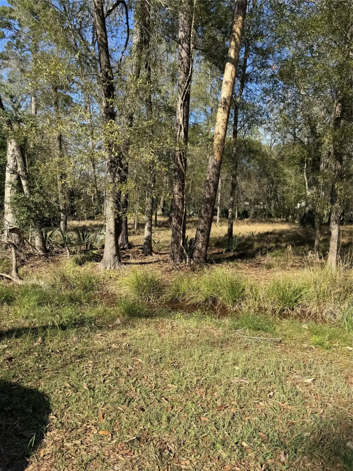 164165 Pin Oak Lane, Huffman, TX 77336 - Image #1