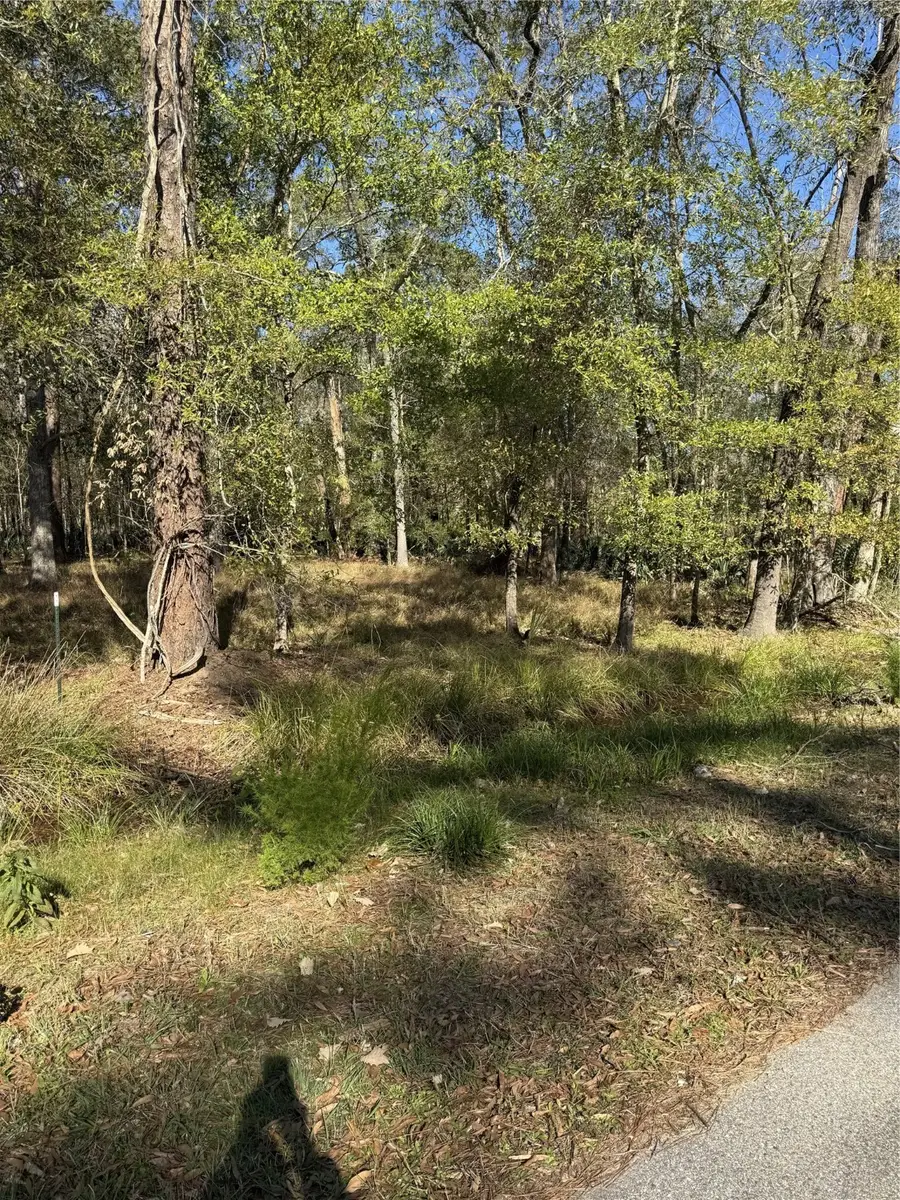 164165 Pin Oak Lane, Huffman, TX 77336 - Image #2