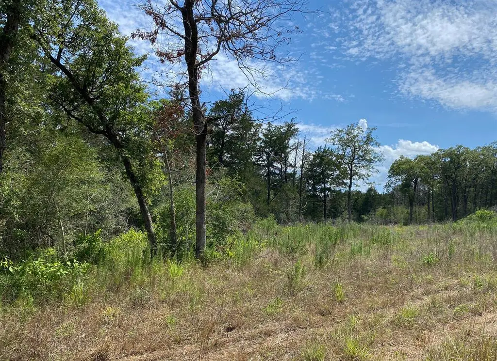 TBD High Crossing Road Tract 8, Smithville, TX 78957 - Image #1