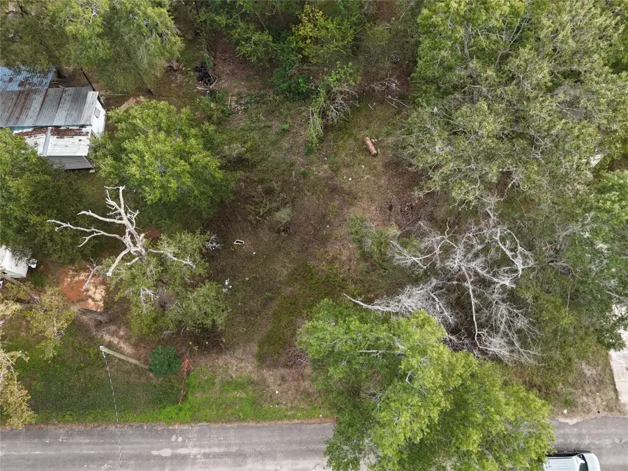 348 W Sherwood Drive, Livingston, TX 77351 - #2