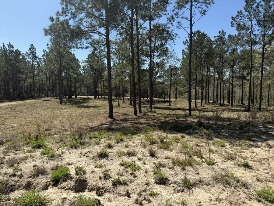 521 Rolling Pines Dr, Livingston, TX 77351 - #2