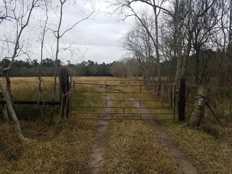 111 Moonshine Hill/will Clayton Parkway Road, Houston, TX 77338 - Image #3