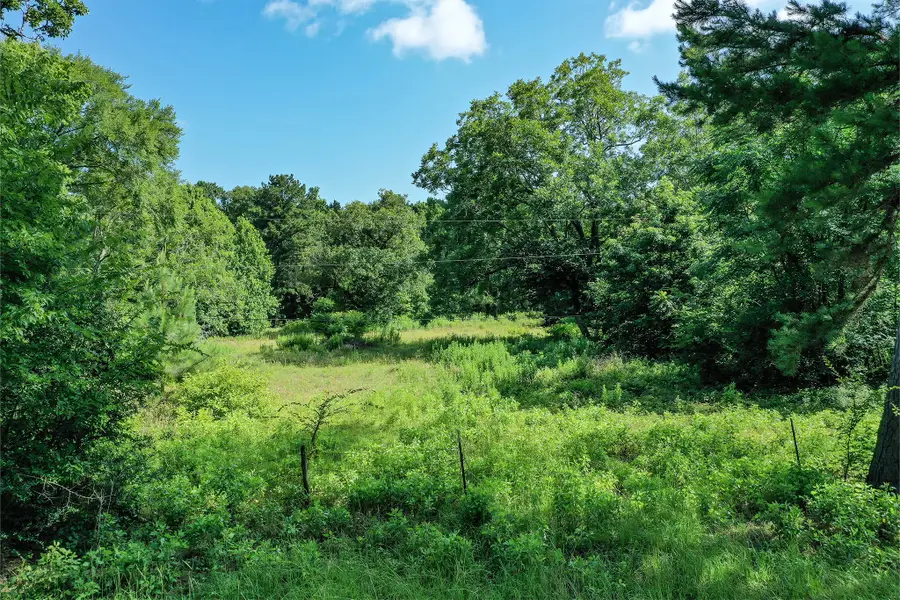 373 Johnson Road, Huntsville, TX 77320 - Image #2