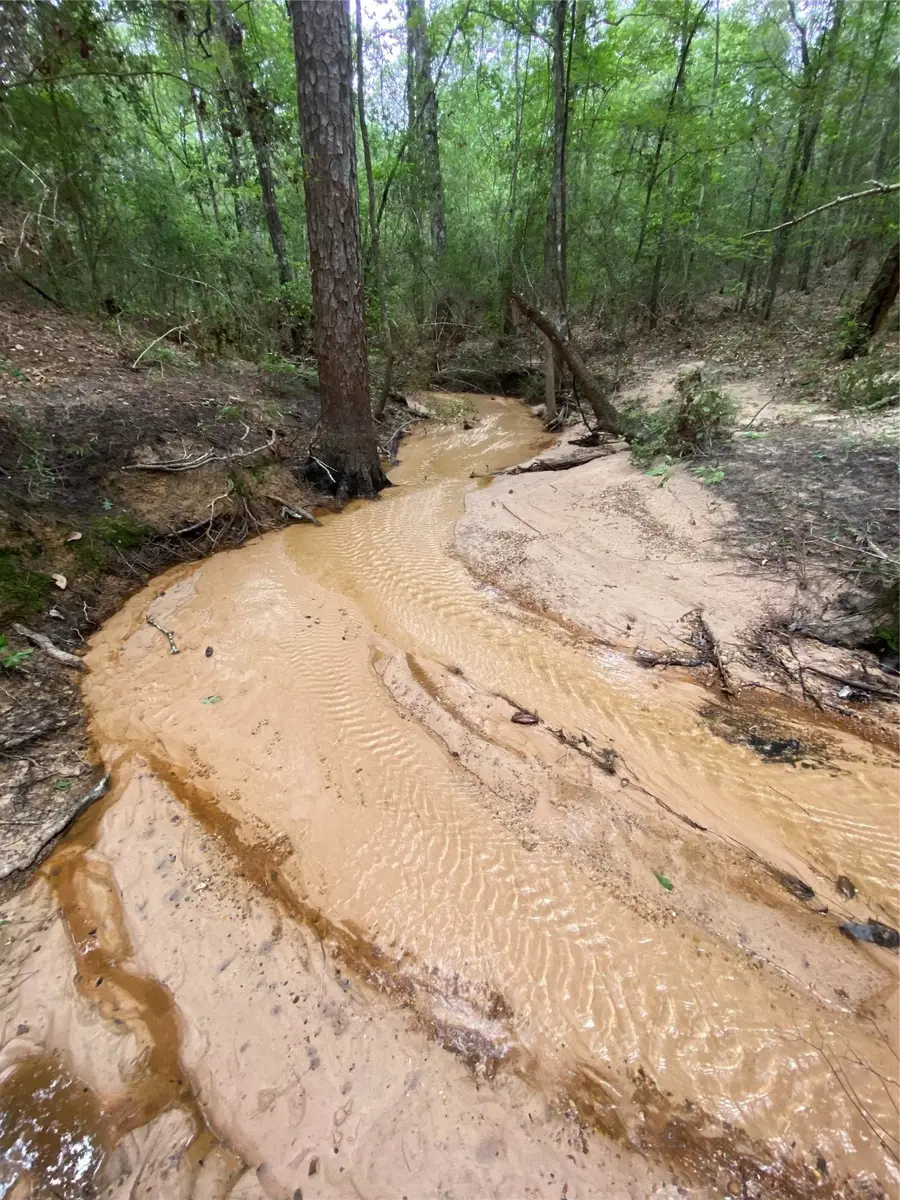 309 Exploration Road, Willis, TX 77378 - Image #3