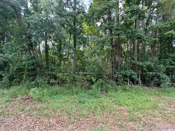 0 Ramblewood, Magnolia, TX 77354