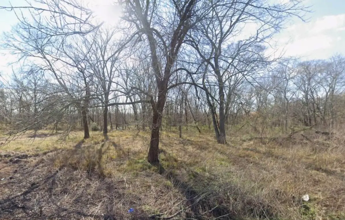 16620 County Road 897, Rosharon, TX 77583 - Image #1