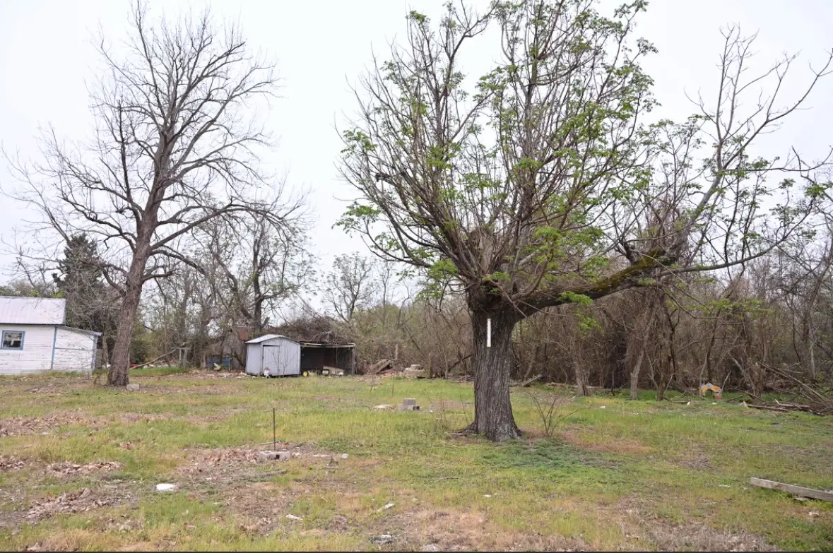 438 Low Wood Road, Somerville, TX 77879 - #1