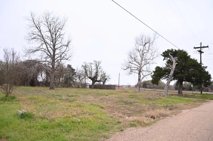 438 Low Wood Road, Somerville, TX 77879 - #2