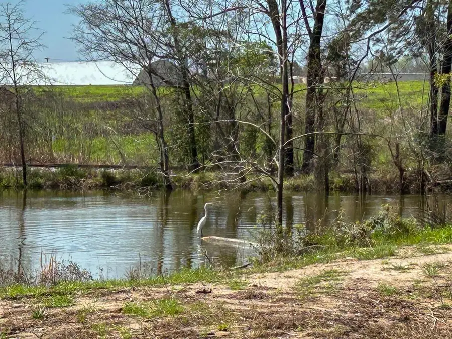 TBD Kurth Dr, Lufkin, TX 75904 - Image #2