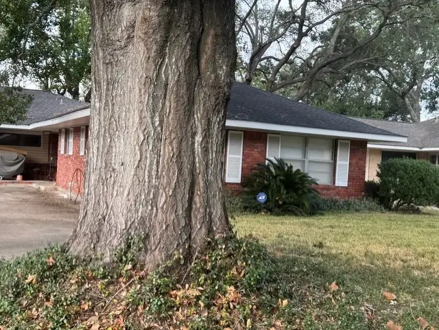 4054 Cheena Drive, Houston, TX 77025 - Image #3