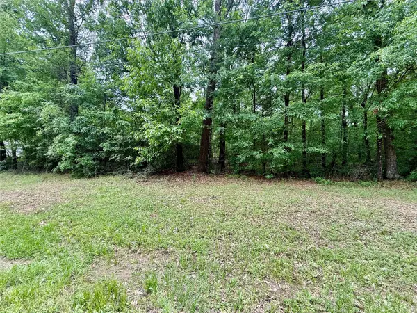 151 Moonlite Drive, Livingston, TX 77351