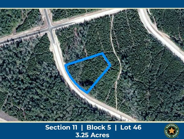 15590 Woodlife Road, Willis, TX 77378