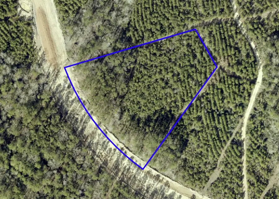 15590 Woodlife Road, Willis, TX 77378 - #3