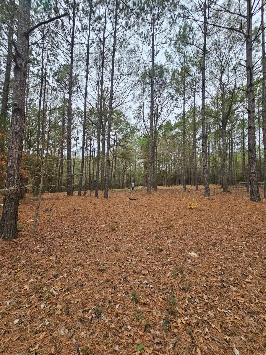 263 Wishing Trail, Livingston, TX 77351 - #3