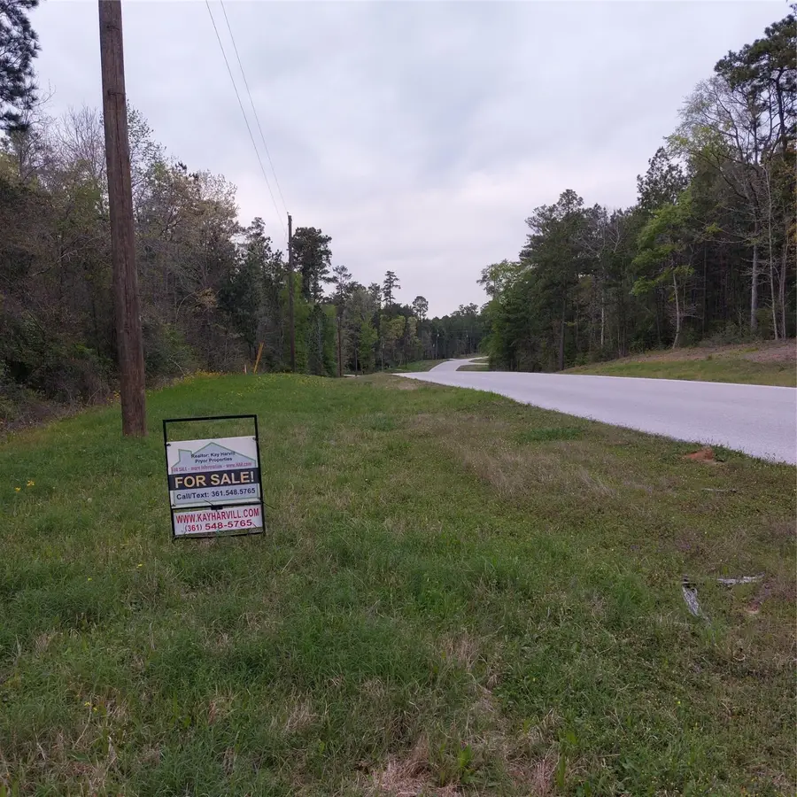 Lot 36 Brahman Lane, Huntsville, TX 77358 - Image #2