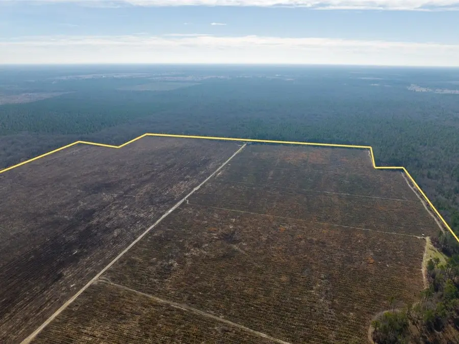 TBD Fm 195, Bagwell, TX 75412 - Image #2