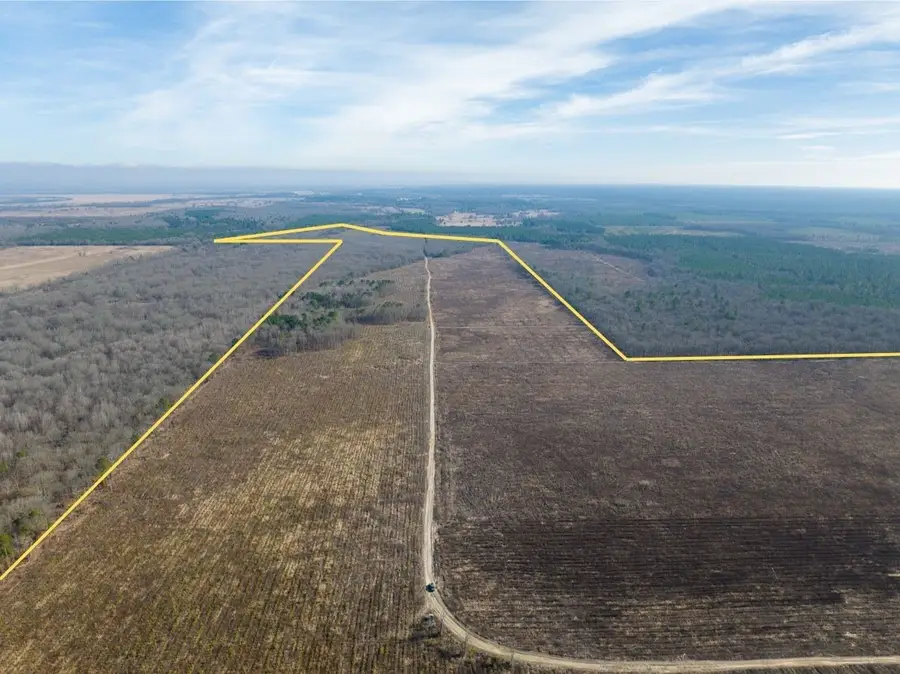 TBD Fm 195, Bagwell, TX 75412 - Image #3