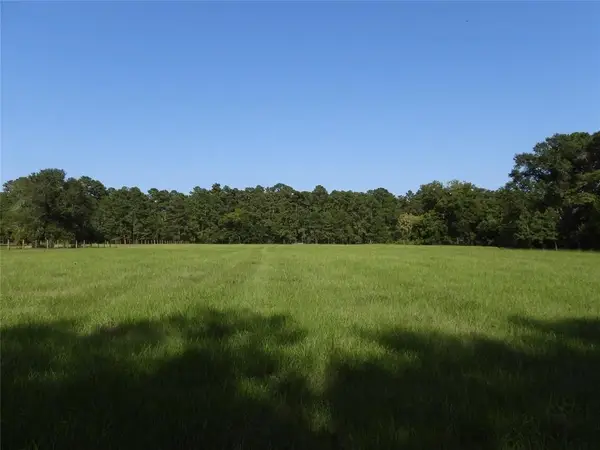 TBD 2 Bethel Rd, Richards, TX 77873