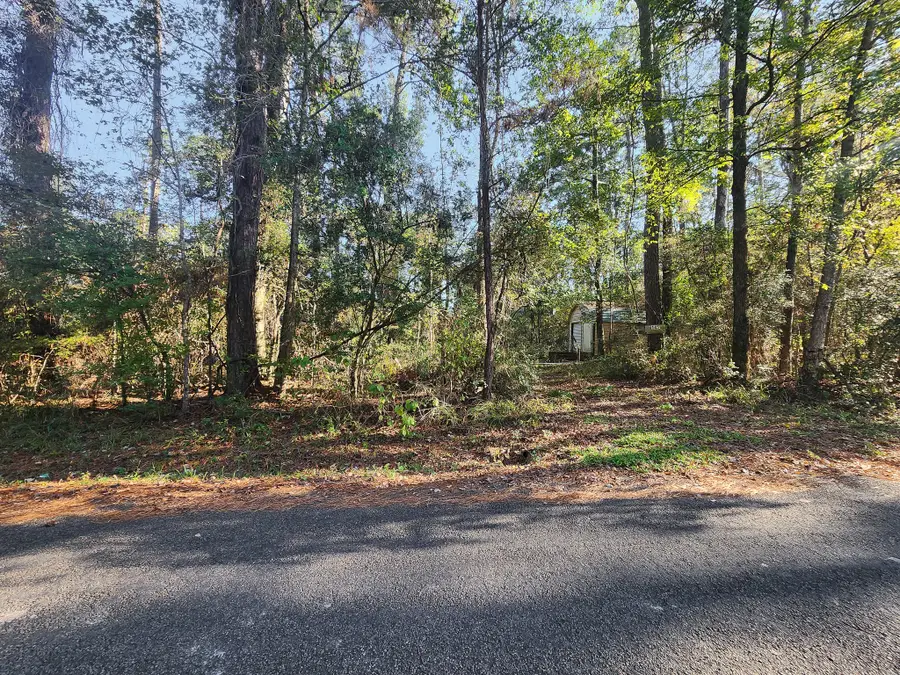 145 Dancing Flame, Livingston, TX 77351 - #3