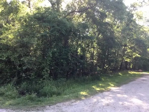 000 Brook Tree, Livingston, TX 77351