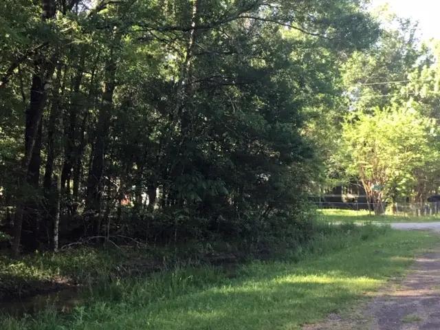 000 Brook Tree, Livingston, TX 77351 - #3