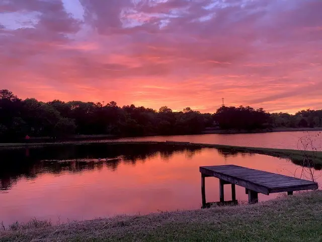 561 Lakeway Drive, Conroe, TX 77316 - #1