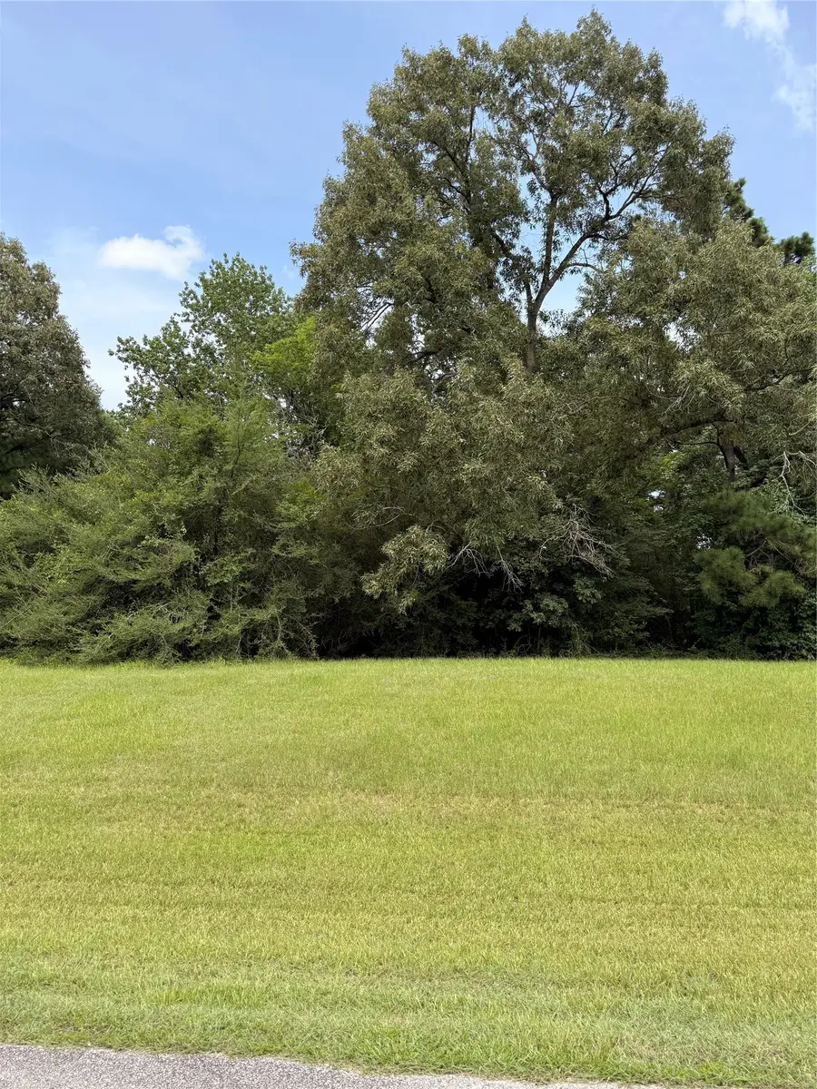 7 Sunny Hill Drive, Huntsville, TX 77340 - #2
